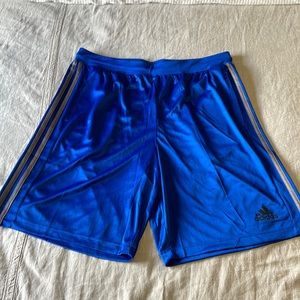 Mens Climalite Adidas shorts
